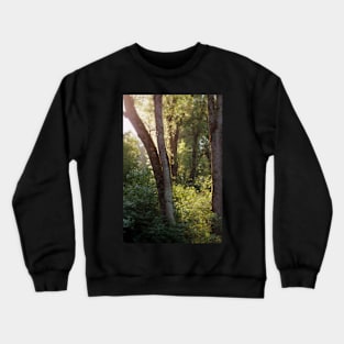 sunlight through the trees Trojan pond, near Goble, Oregon Crewneck Sweatshirt